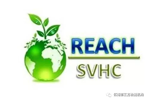 REACH測試多少錢